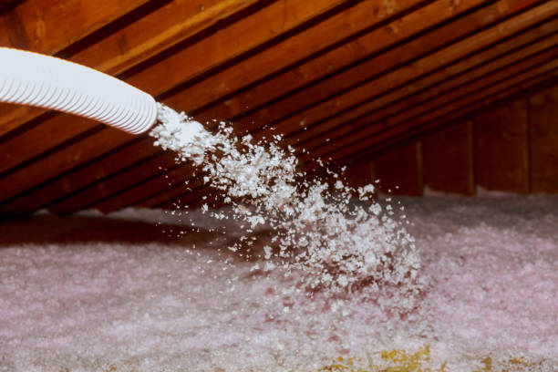 Insulation Replacement Services in Enterprise, UT